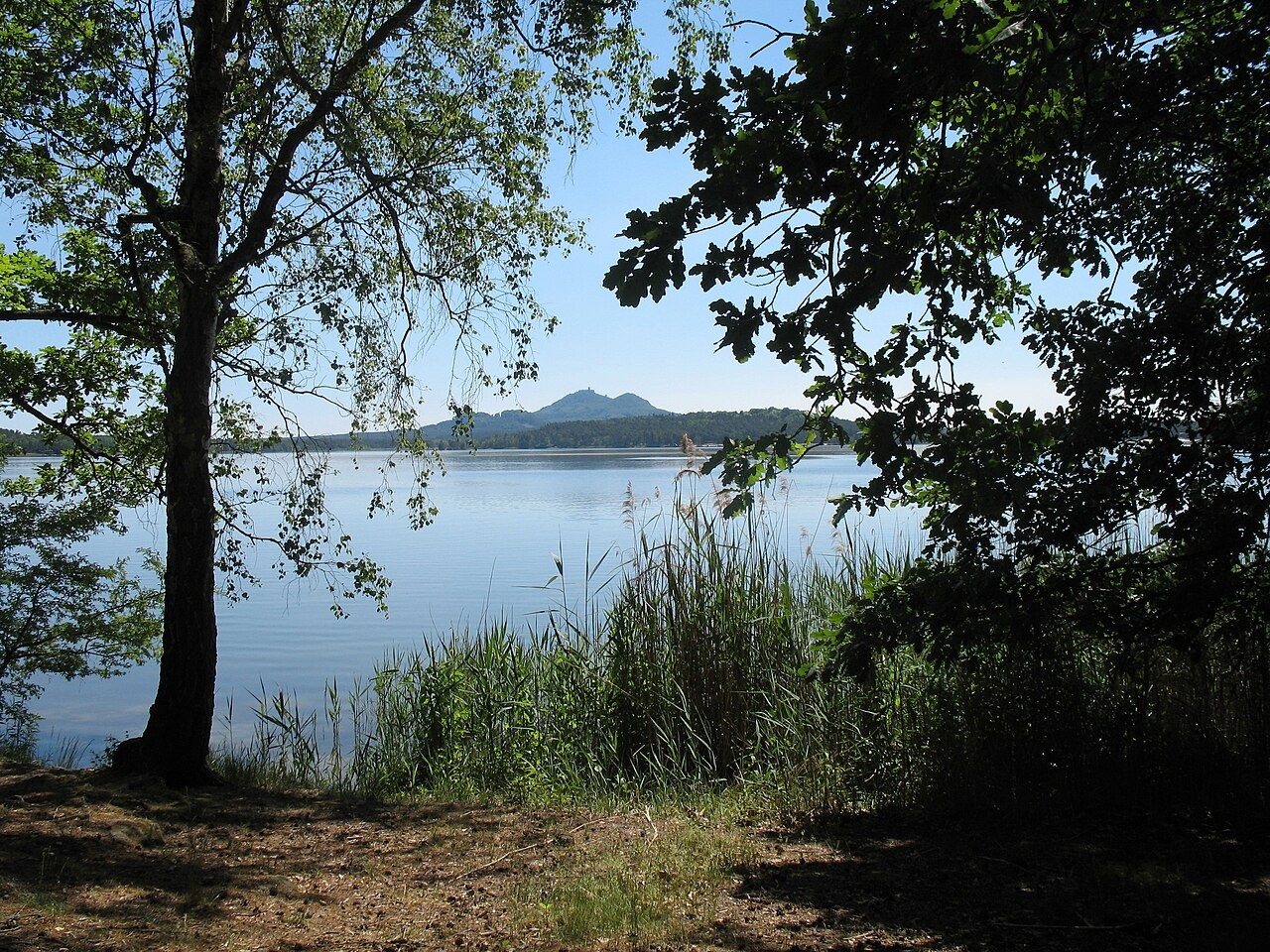 Sud Loire Raid Aventure mixte