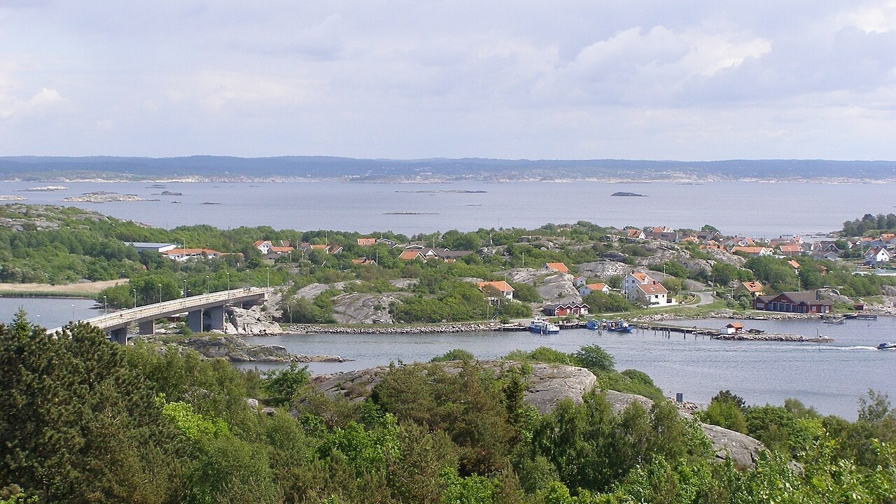 LES PETITS SUISSES NORMANDS